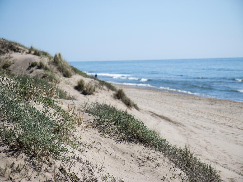 Wood House Close Beach Marbella Exteriör bild